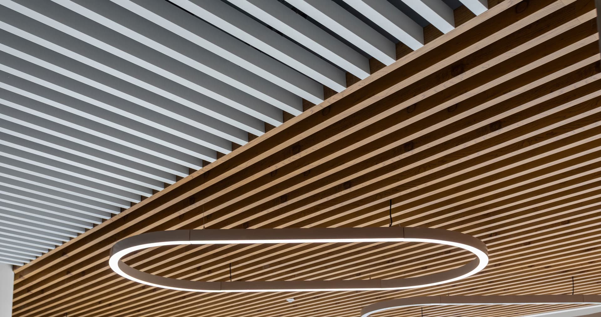 Instalacion falso techo en Ourense