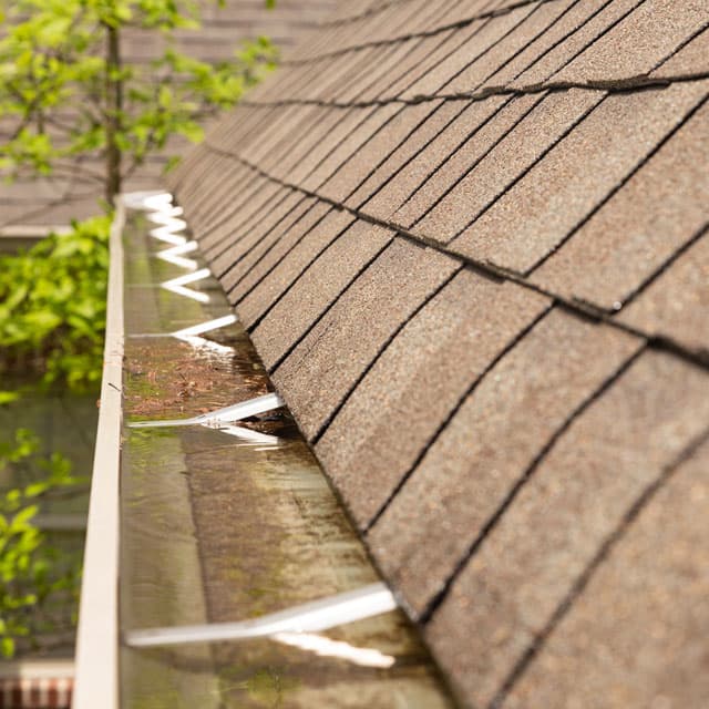 Contactar con Canalones Dama en Ourense