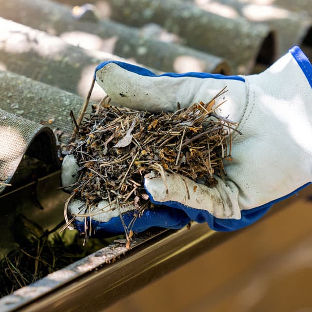 Mantenimiento de canalones en Ourense